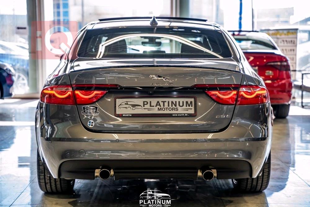 جاكوار XF